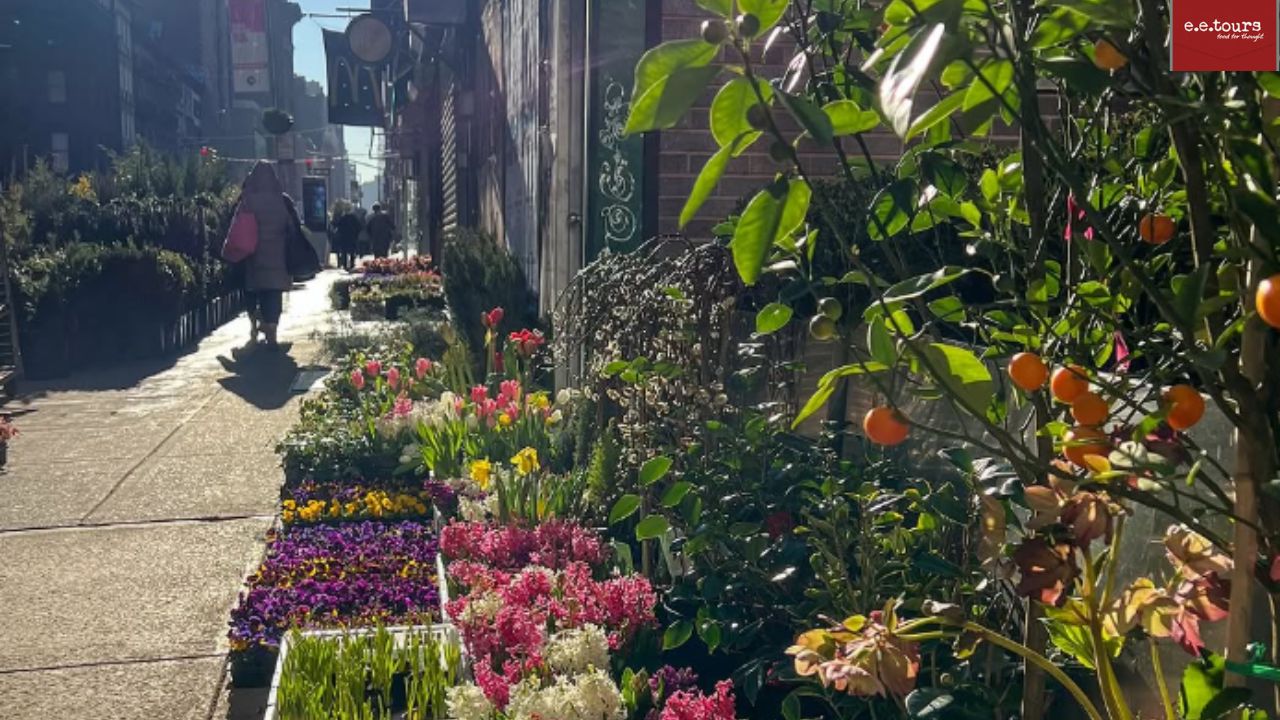 new-york-flower-market-chelsea